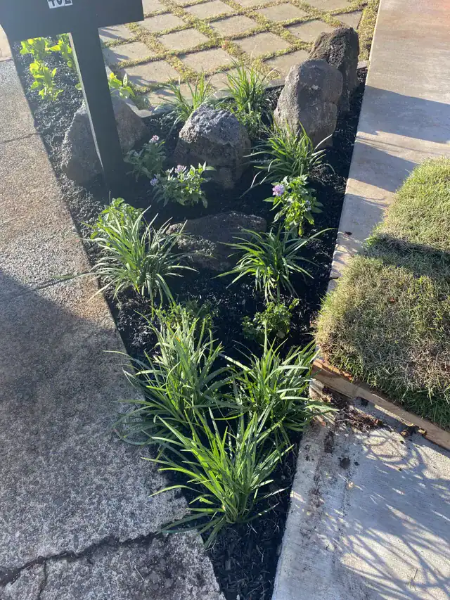 Close-up of decorative rock border and new landscaping next to paver walkway